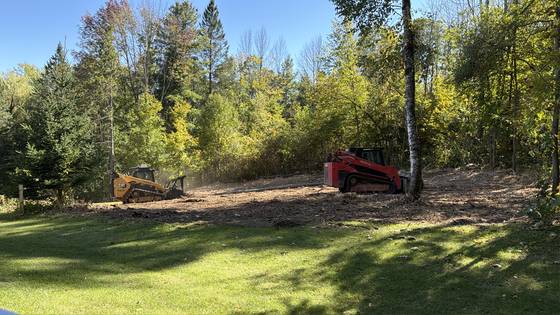 Mulched land clearing with skid steer