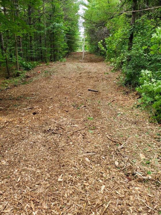 Forestry-mulched trail through woods