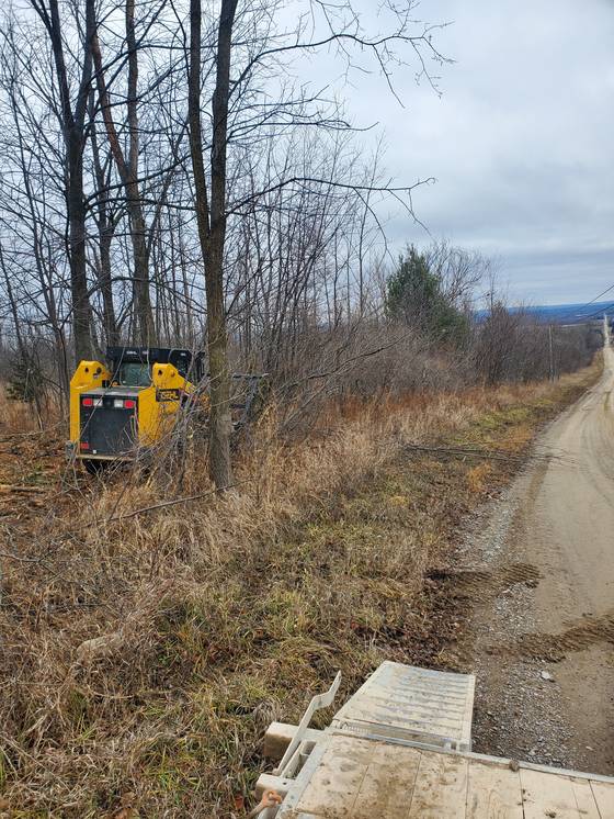Mulcher working brush on a hillside