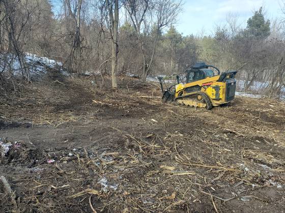 Skid steer clearing brush