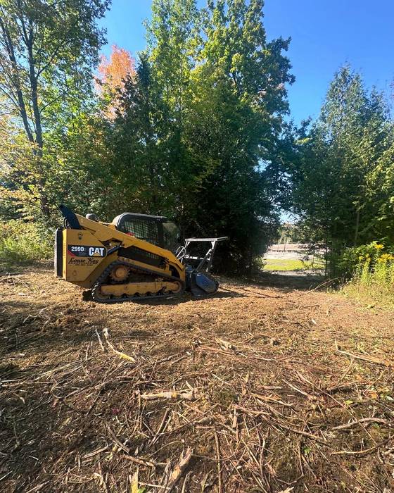 Skid steer mulching brush