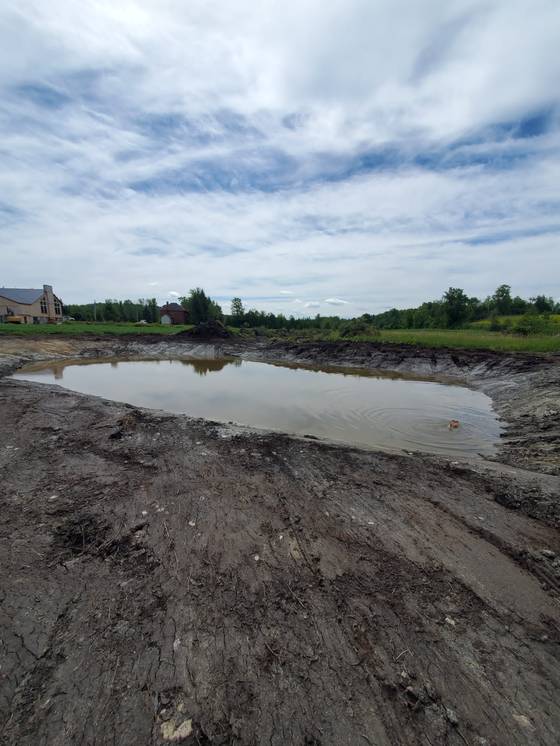 Newly dug pond filling with water