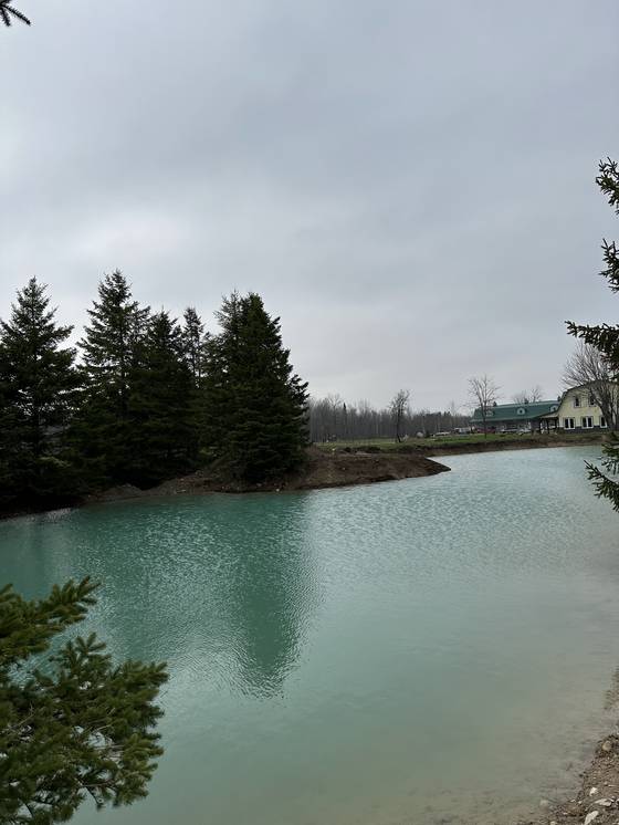 Finished pond with clear water and evergreens