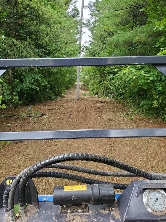 View from mulcher cab down a forest trail